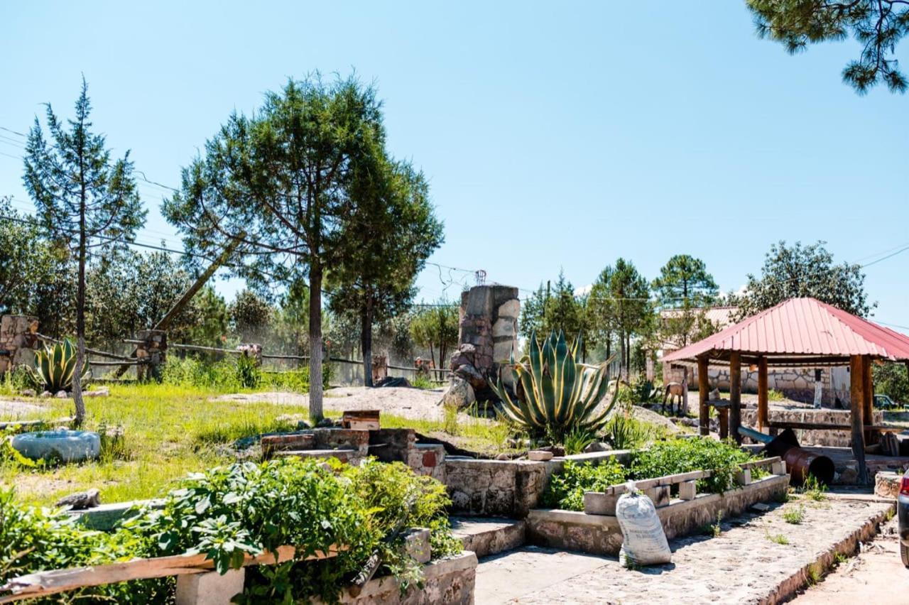 Hotel Cabañas De Lolita En Barrancas del cobre Areponapuchi Exterior foto